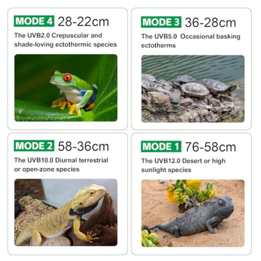 UVB Light for Reptiles with Di - Gecko Lighting & Decor 评论和价格