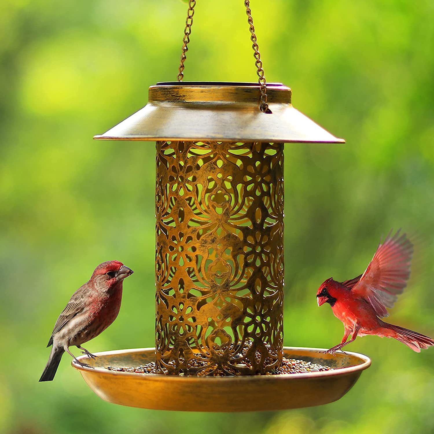 Hanging Bird House Metal Outdo - Outdoor Lighting Decor Ideas 评论和价格
